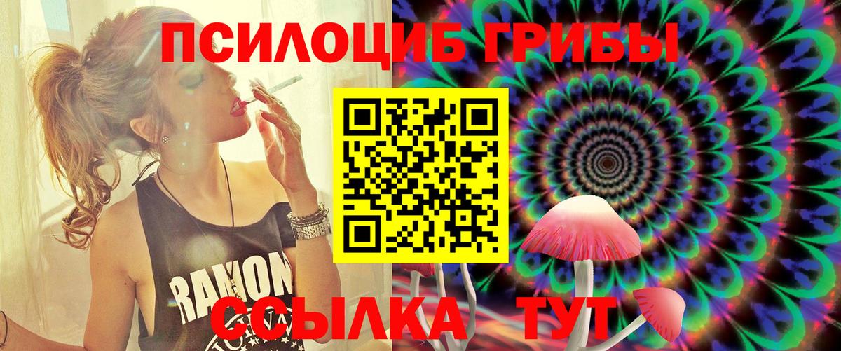 Кунгур  Галлюциногенные грибы Psilocybe  Галлюциногенные грибы мицелий  Вход с VPN 