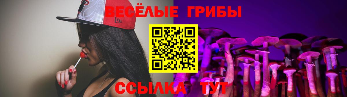 Псилоцибиновые грибы GOLDEN TEACHER Кунгур